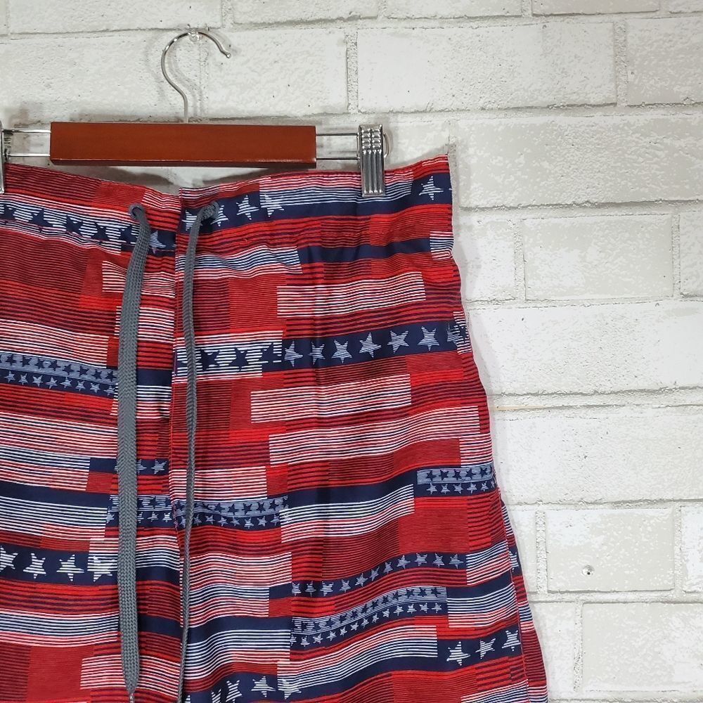 Speedo patriotic swim trunks - Picture 3 of 14